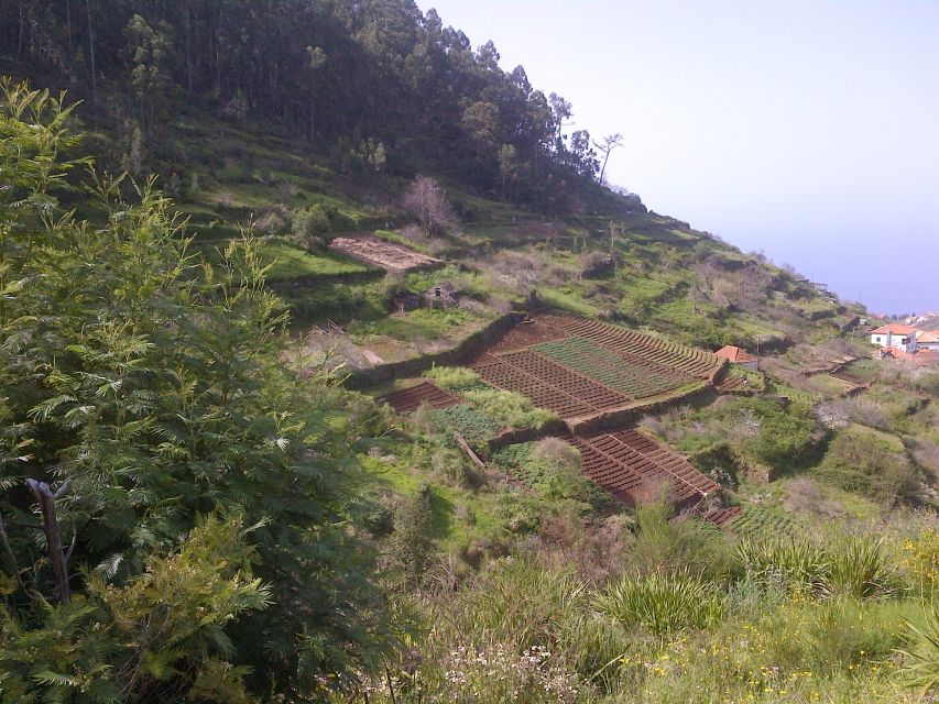 Madeira: Levado do Norte 2-Hour Hiking Tour - Levado do Norte, Madeira’s irrigation walkway with big scenery for a light hike