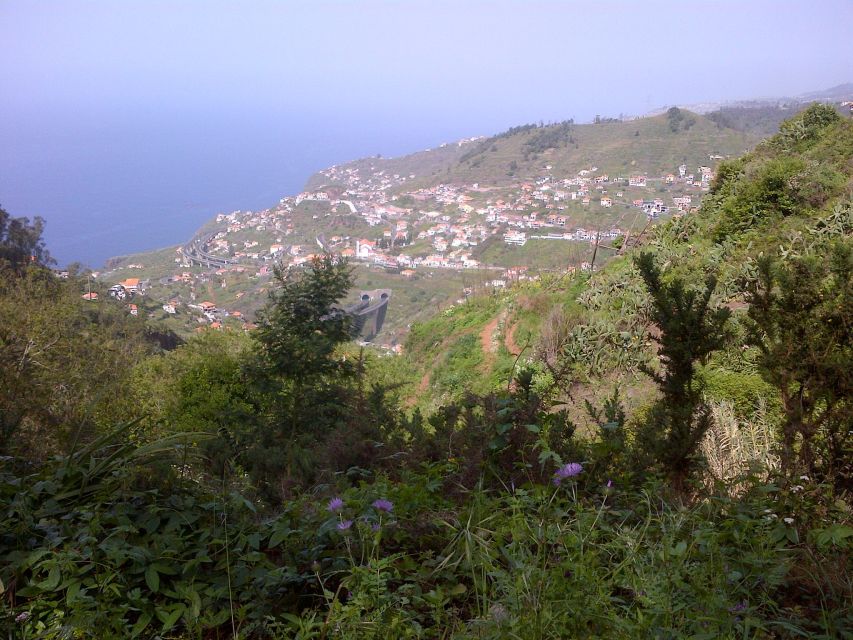 Madeira: Levado do Norte 2-Hour Hiking Tour - What about food, water, and the end-of-walk bonus?