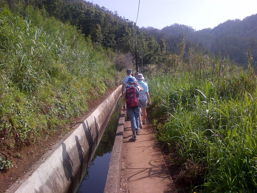 Madeira: Levado do Norte 2-Hour Hiking Tour - Price and value: is $33 a fair deal in Madeira?