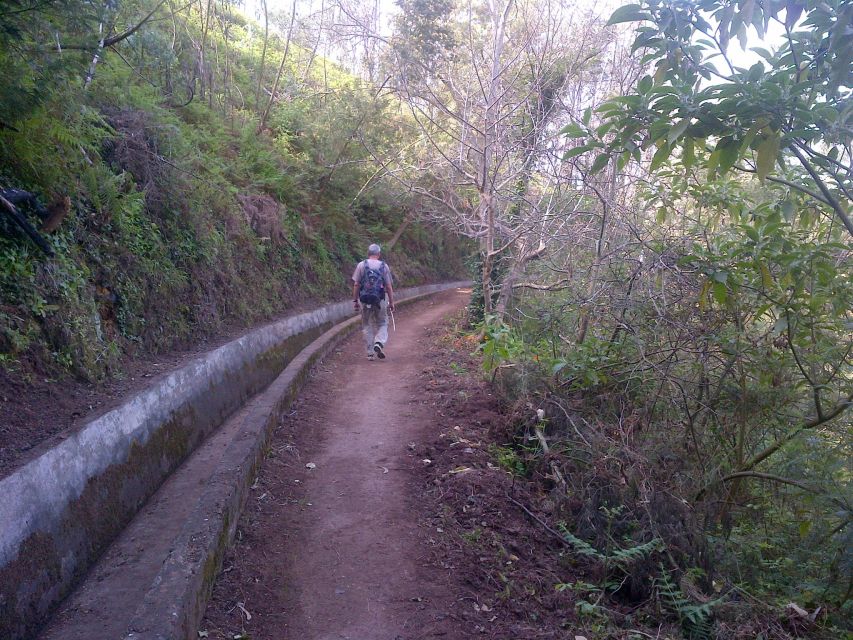 Madeira: Levado do Norte 2-Hour Hiking Tour - What you actually see on the Levada do Norte: terraces, gardens, eucalyptus, and fields