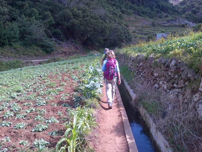 Madeira: Maroços Landscapes 2.5-Hour Guided Walk - Why Maroços and Machico Works So Well in 2.5 Hours