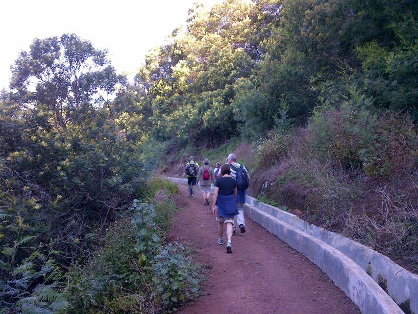 Madeira: Maroços Landscapes 2.5-Hour Guided Walk - Maroços Village and Terraces Above Machico