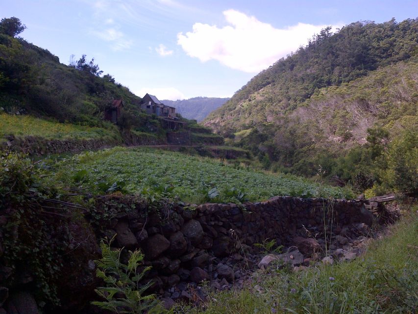 Madeira: Maroços Landscapes 2.5-Hour Guided Walk - Fresh Fruit From Producers (and the Best Way to Approach It)