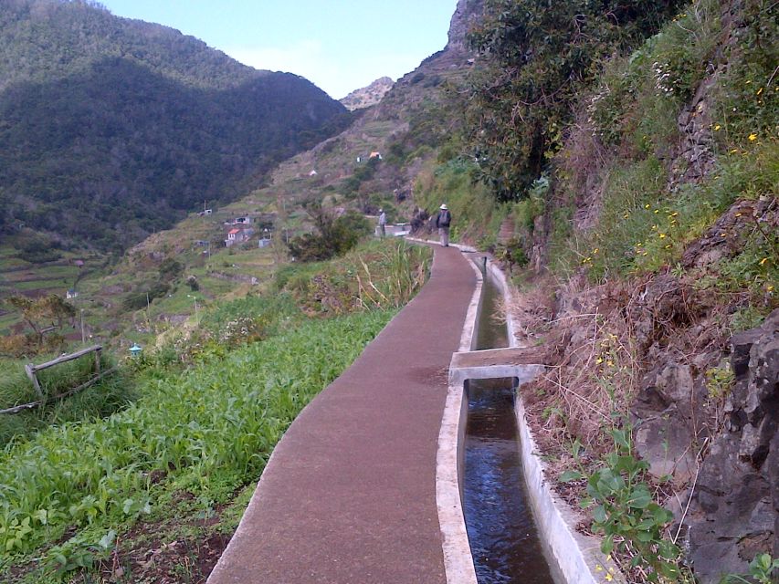 Madeira: Maroços Landscapes 2.5-Hour Guided Walk - Seeing Daily Life: Animals, Tasks, and a Real Sense of Place