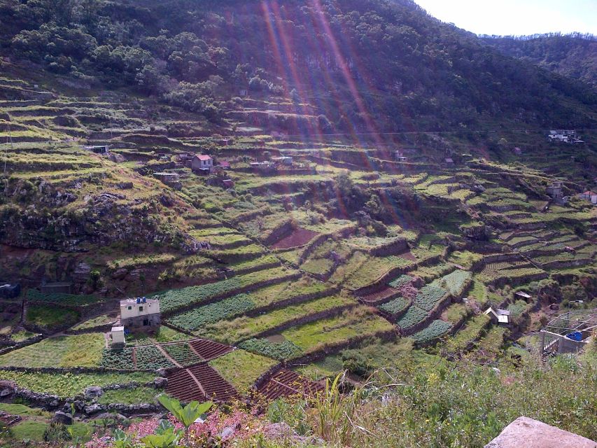 Madeira: Maroços Landscapes 2.5-Hour Guided Walk - Getting Picked Up in Funchal, Caniço, and Calheta (and Why It Matters)