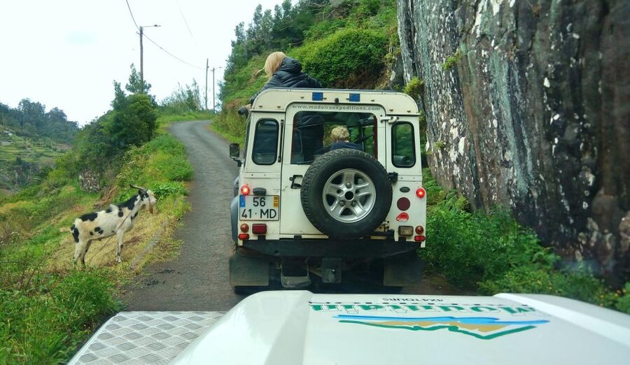 Madeira: Mini-Combo East Challenge: Jeep Safari + Levada - Key Highlights You Will Actually Care About