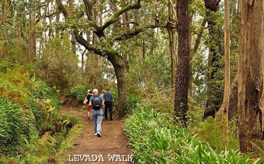 Madeira: Mini-Combo East Challenge: Jeep Safari + Levada - What to pack for Madeira East Challenge