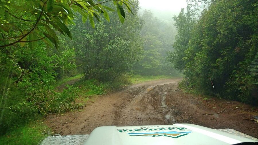 Madeira: Mini-Combo East Challenge: Jeep Safari + Levada - Madeira East Challenge: a fast hit of Jeep views plus a short levada