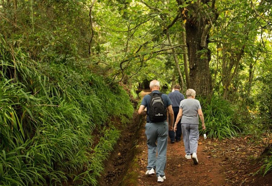 Madeira: Mini-Combo East Challenge: Jeep Safari + Levada - Morena: the remote-feeling leg of the southeast coast