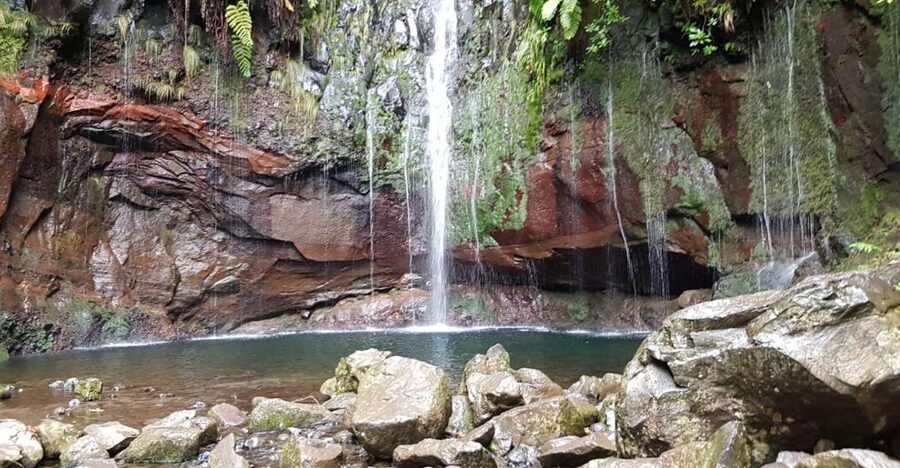Madeira: Mountain Walk with Lagoon and Waterfalls - Key things you will notice on this walk
