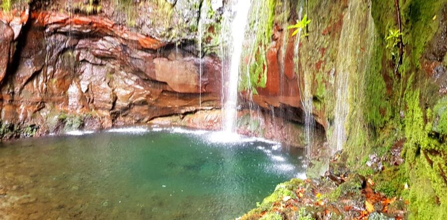 Madeira: Mountain Walk with Lagoon and Waterfalls - The levada hike along the way: what the path means for your legs