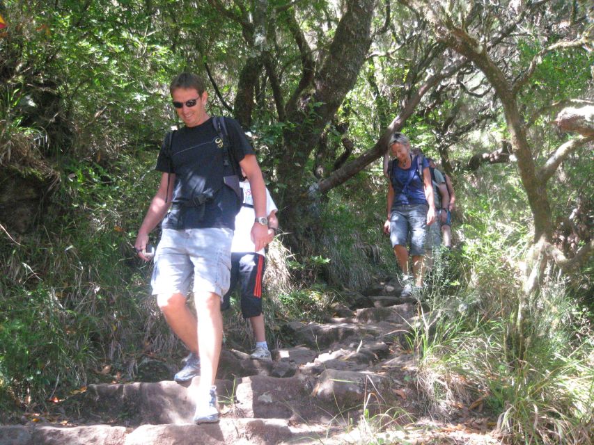 Madeira: Mountain Walk with Lagoon and Waterfalls - Paúl da Serra plateau and Risco waterfall: why the middle of the day matters