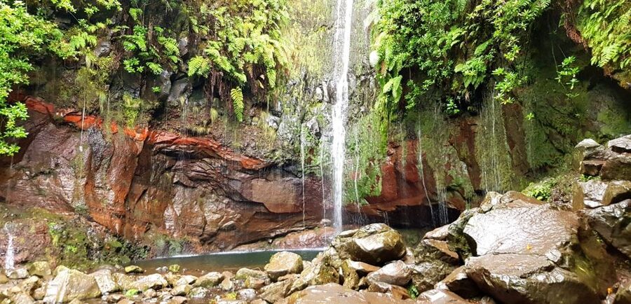 Madeira: Mountain Walk with Lagoon and Waterfalls - Group size, guide style, and the pace you should expect