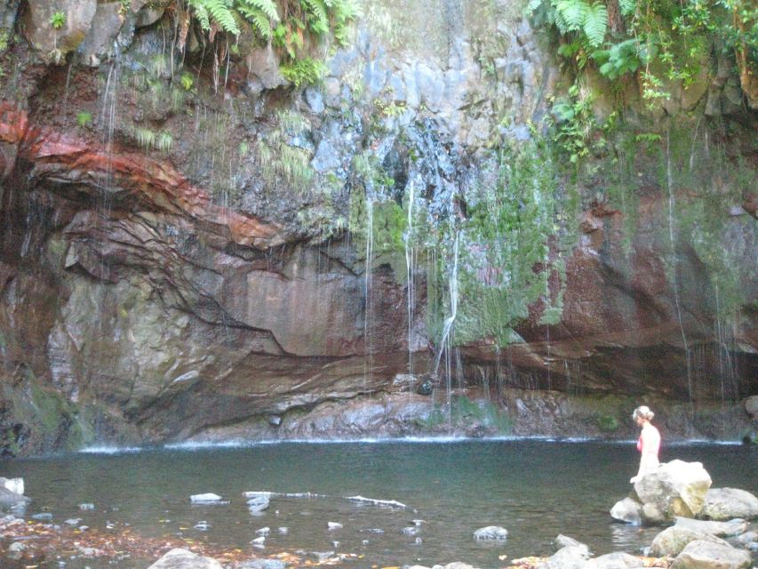 Madeira: Mountain Walk with Lagoon and Waterfalls - Who should book this Madeira mountain walk?