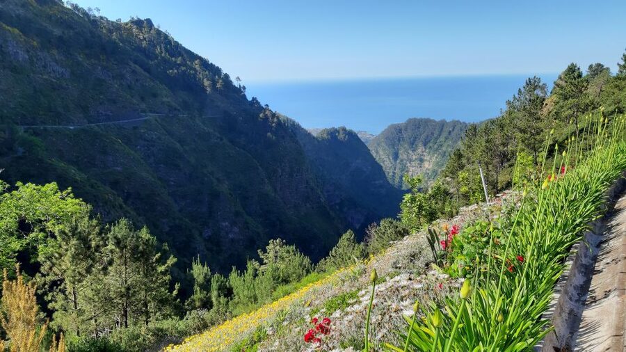 Madeira: Nun's Valley Private Tour - Price and value: what $200 per group up to 2 actually buys you