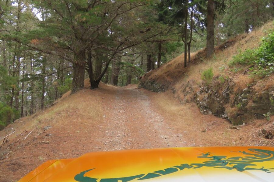 Madeira : Nun's Valleys and Pico Areeiro 4X4 Tour - Should You Book This Tour?
