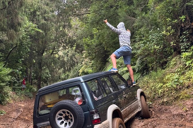 Madeira Off-Road 4x4 Jeep Adventure Private Full day Tour - Key points to know before you book