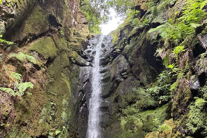 Madeira Off-Road 4x4 Jeep Adventure Private Full day Tour - Why this Madeira Jeep Adventure is a different kind of day