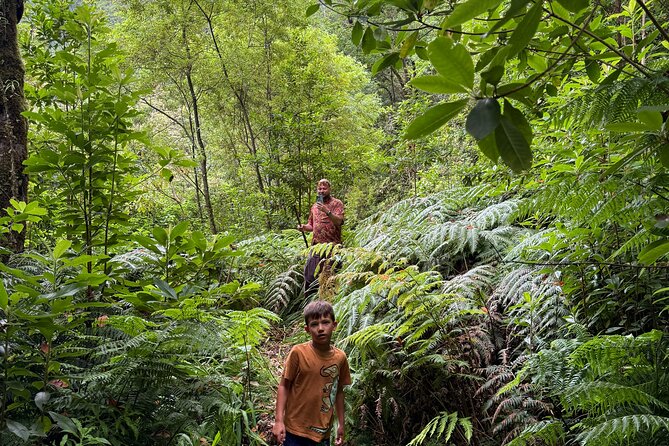 Madeira Off-Road 4x4 Jeep Adventure Private Full day Tour - The flow of the day, from hotel pickup to backroads
