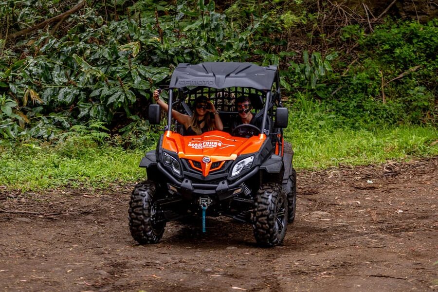 Madeira: Off-Road Buggy Adventure Through Laurissilva Forest - Price and Value: What You Get for $147 Per Group Up to 2