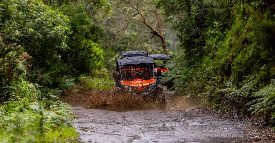 Madeira: Off-Road Buggy Adventure Through Laurissilva Forest - Entering the Laurissilva Forest: Off-Road Tracks on the Trilho das Funduras