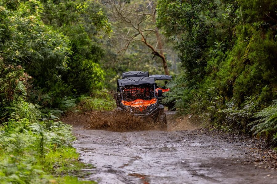 Madeira: Off-Road Buggy Adventure Through Laurissilva Forest - Boca do Risco Viewpoints: North Coast Scenery and Porto Santo Photos