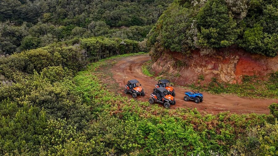 Madeira: Off-Road Buggy Adventure Through Laurissilva Forest - What Getting Wet and Muddy Really Means (And How to Handle It)
