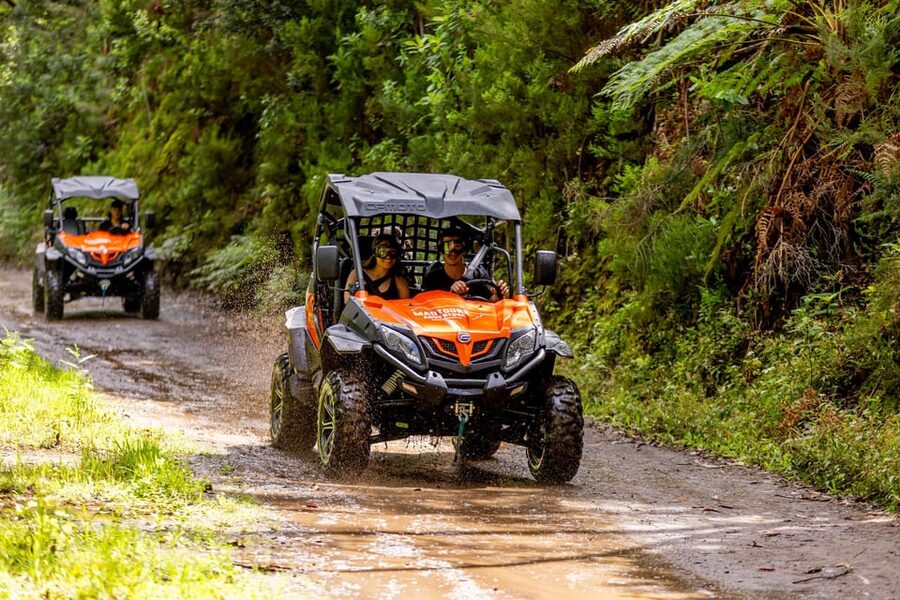 Madeira: Off-Road Buggy Adventure Through Laurissilva Forest - Equipment Condition and the Feel of the Buggy