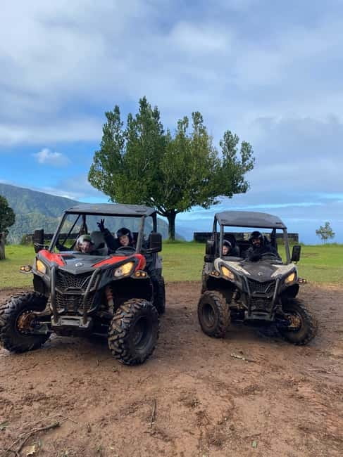 Madeira: Off-Road Buggy Driving Experience - Key Things to Know Before You Go