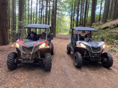 Off-Road Buggy Driving Experience