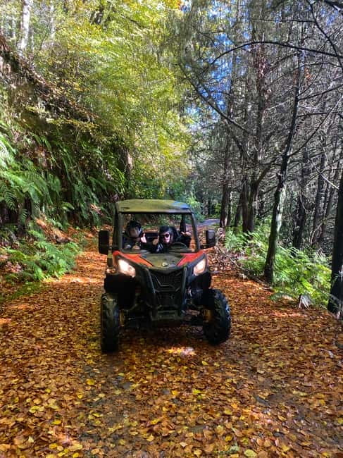 Madeira: Off-Road Buggy Driving Experience - Laurisilva Forest Stops: UNESCO Time With a Personal Pace
