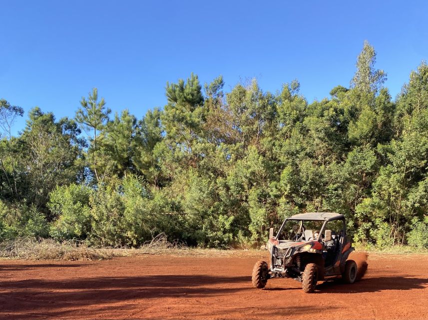Madeira: Off-Road Buggy Driving Experience - From Forest to Views: North Madeira Viewpoints That Actually Pay Off