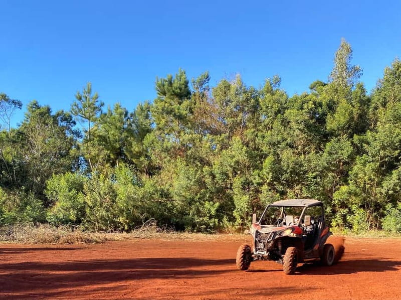 Madeira: Off-Road Buggy Driving Experience - Price and Group Size: Is $171 a Good Value?