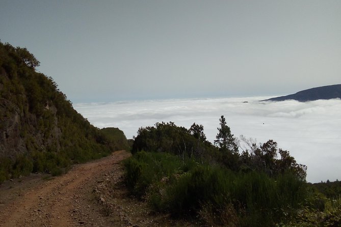 Madeira Off-Road Tours - Porto Moniz natural pools and Paúl da Serra: above the clouds then down to the sea