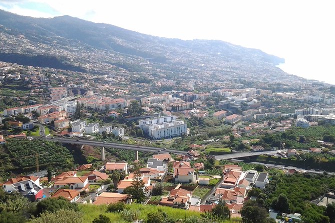 Madeira Pack 1 - Santana + Porto Moniz+ Curral das Freiras - Why the Nuno Martins Factor Matters