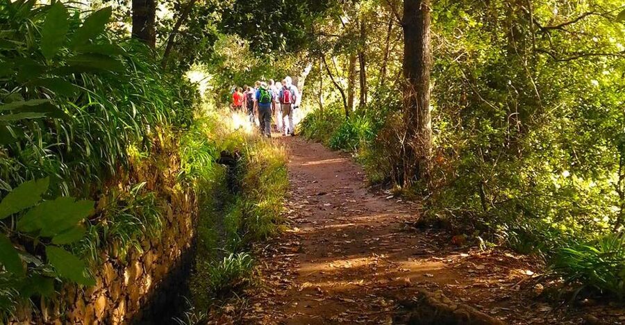 Madeira: Paradise Valley Levada Walk - From pickup in Funchal to the Vale do Paraíso starting point