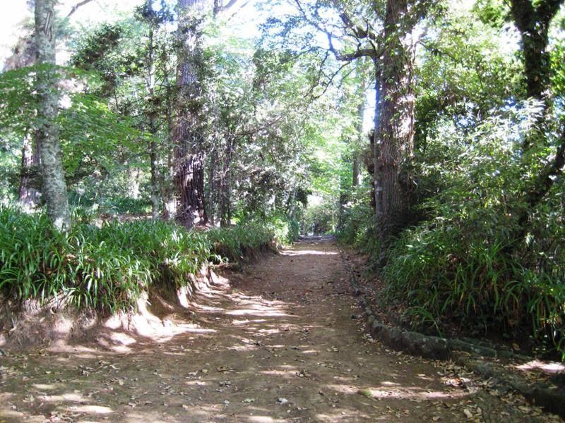 Madeira: Paradise Valley Levada Walk - Gardens, cultivated terraces, and the Madeira way of making space