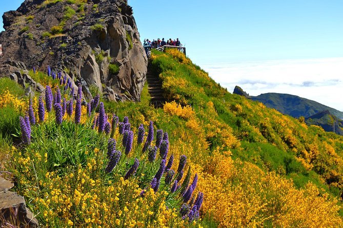 Madeira Peaks - Mountain Walk - What the hike feels like underfoot and in your head