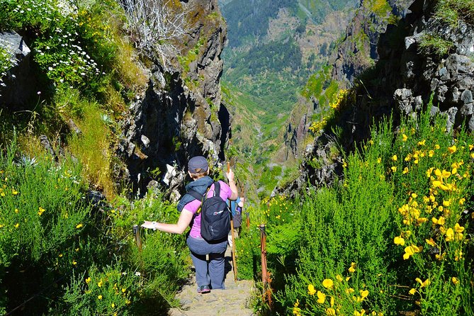 Madeira Peaks - Mountain Walk - The guide makes the difference, from safety to plant spotting