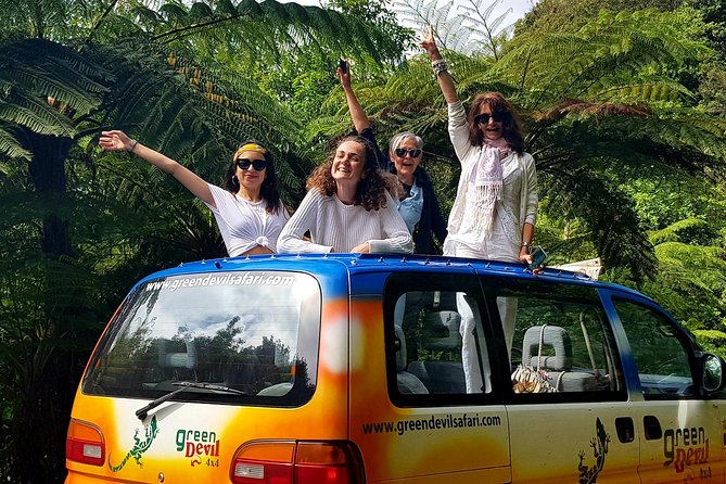 Madeira Peaks - Open 4X4 Full-Day Tour - The peak country moments: why elevation changes everything