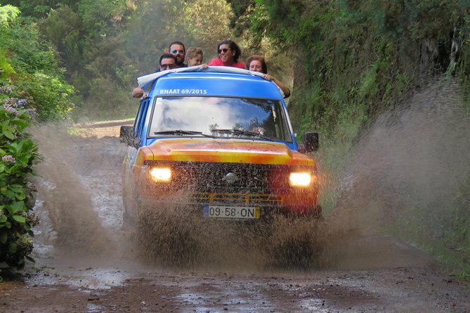Madeira Peaks - Open 4X4 Full-Day Tour - Price and what you really get for $83.45
