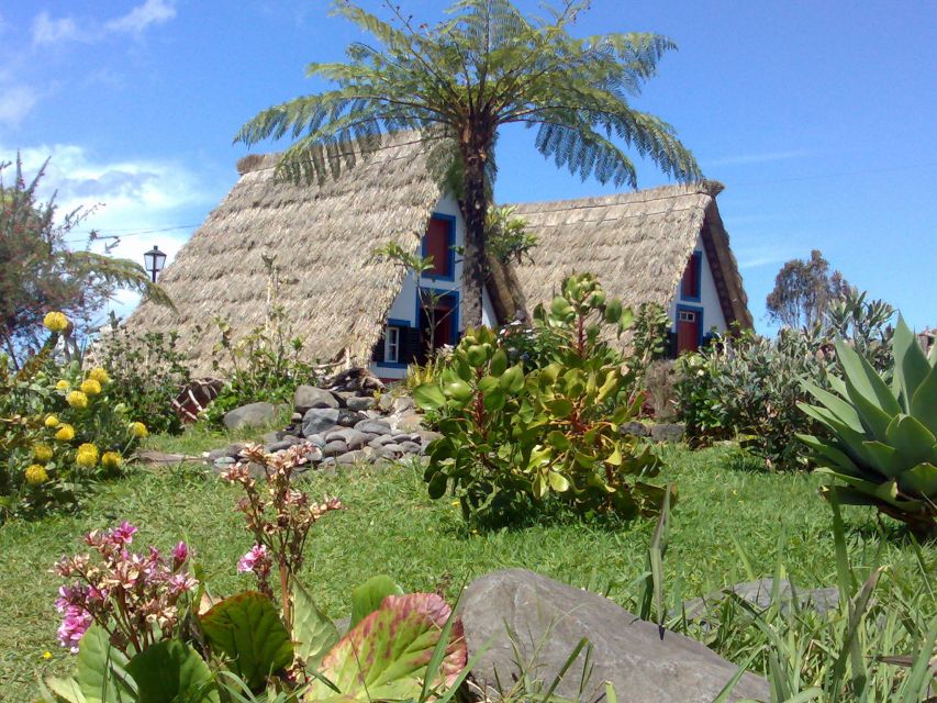 Madeira: Pico do Arieiro & Laurissilva Forest - East tour - Key Highlights