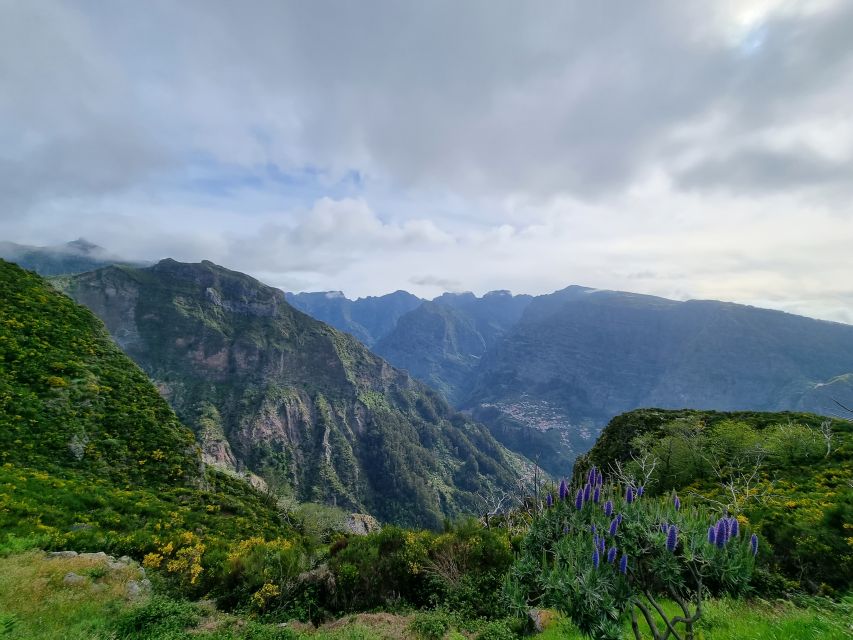 Madeira: Picturesque Peaks and Skywalk private 4x4 Jeep tour - Price Value Check: Is $247 per Group Up to 4 a Good Deal?