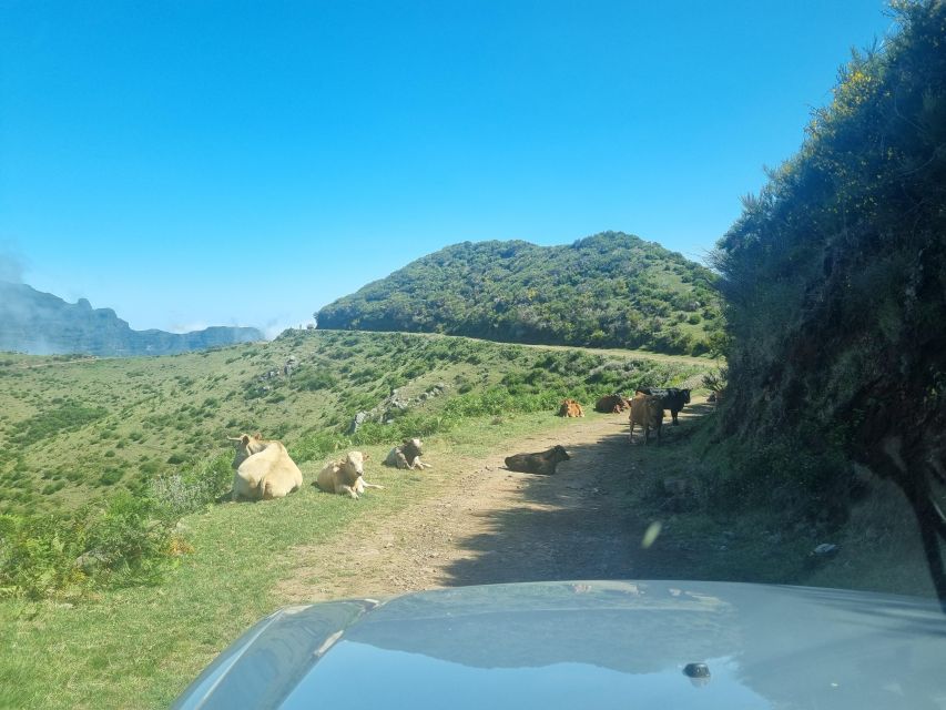 Madeira: Picturesque Peaks and Skywalk private 4x4 Jeep tour - Entering the Tour: What the Private Jeep Format Changes