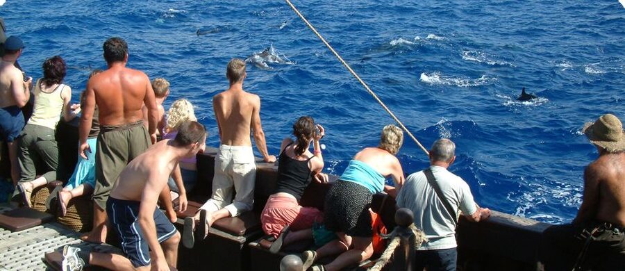Madeira Pirate Ship: 3-Hour Boat Trip - Why the Santa Maria de Colombo feels like a time machine (and not a gimmick)