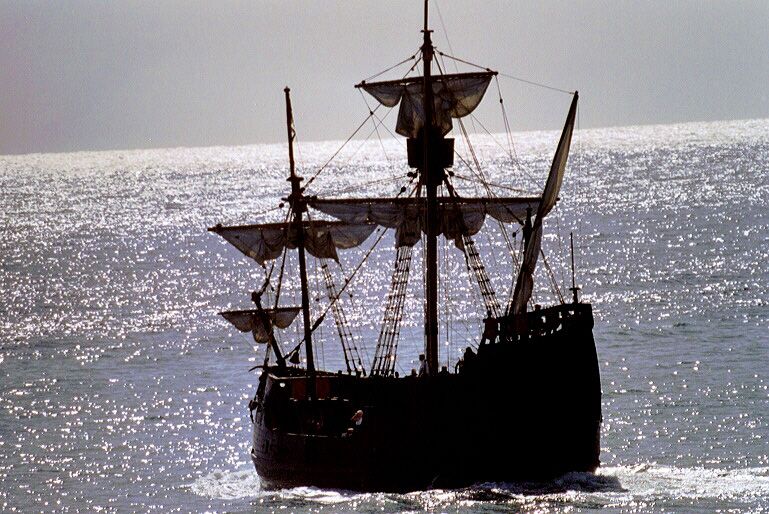 Madeira Pirate Ship: 3-Hour Boat Trip - Dolphin and whale watching: how the crew helps you actually see them