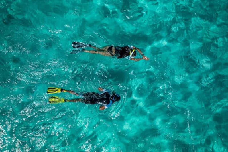 Madeira: Ponta de São Lourenço Snorkeling Boat Trip - Key highlights you should care about