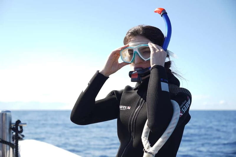 Madeira: Ponta de São Lourenço Snorkeling Boat Trip - Who should book this, and who should skip it