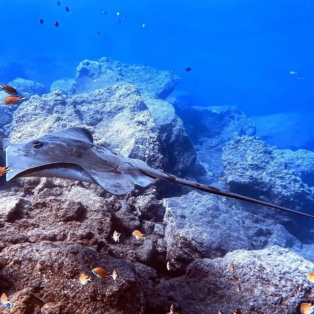 Madeira, Ponta São Lourenço: Scuba Diving for Beginners - Instructors that keep you calm: how English coaching works