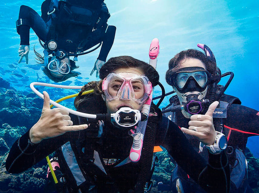 Madeira, Ponta São Lourenço: Scuba Diving for Beginners - What to bring, what to wear, and what to know before you book